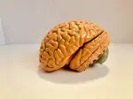 L'effetto Dunning-Kruger